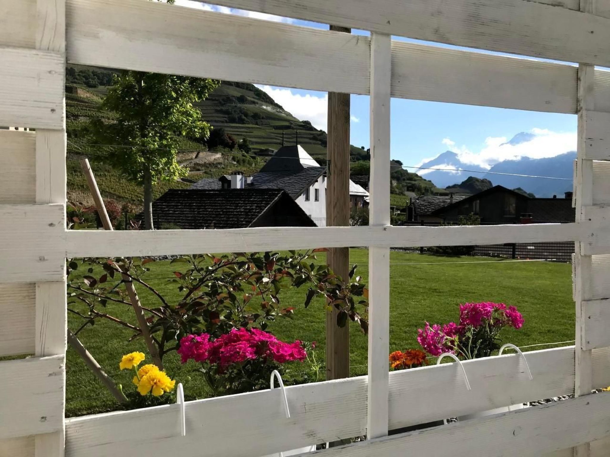 Enceinte de l’hébergement