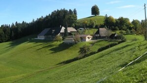 Ett lantligt landskap med hus på en kulle, omgivet av grönska och träd.