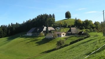 Miscelánea