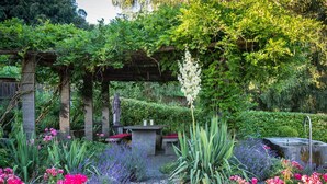 A garden with a pergola, a statue, a fountain, and various flowering plants.