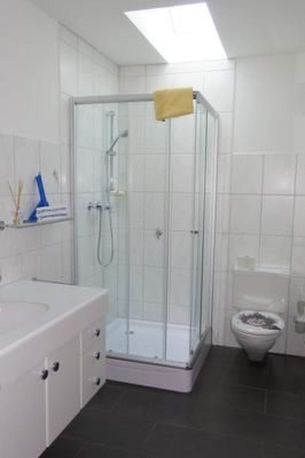 Une salle de bain avec une douche à parois de verre, un lavabo blanc et des toilettes.