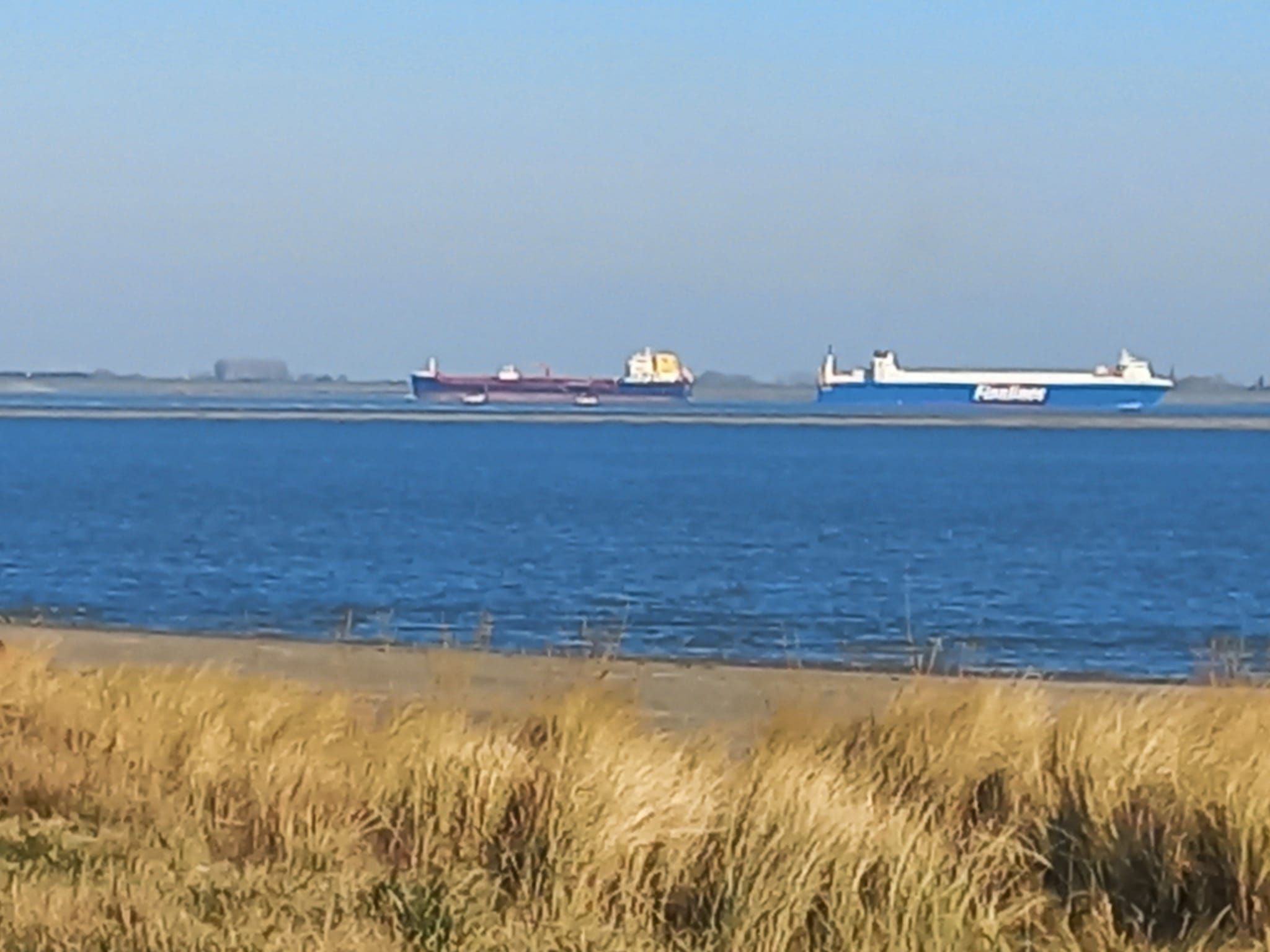 A cargo ship docked at a port with a clear sky.