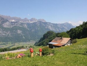 Property grounds - Vacation home Fäsch by Interhome (Flumserberg Bergheim)