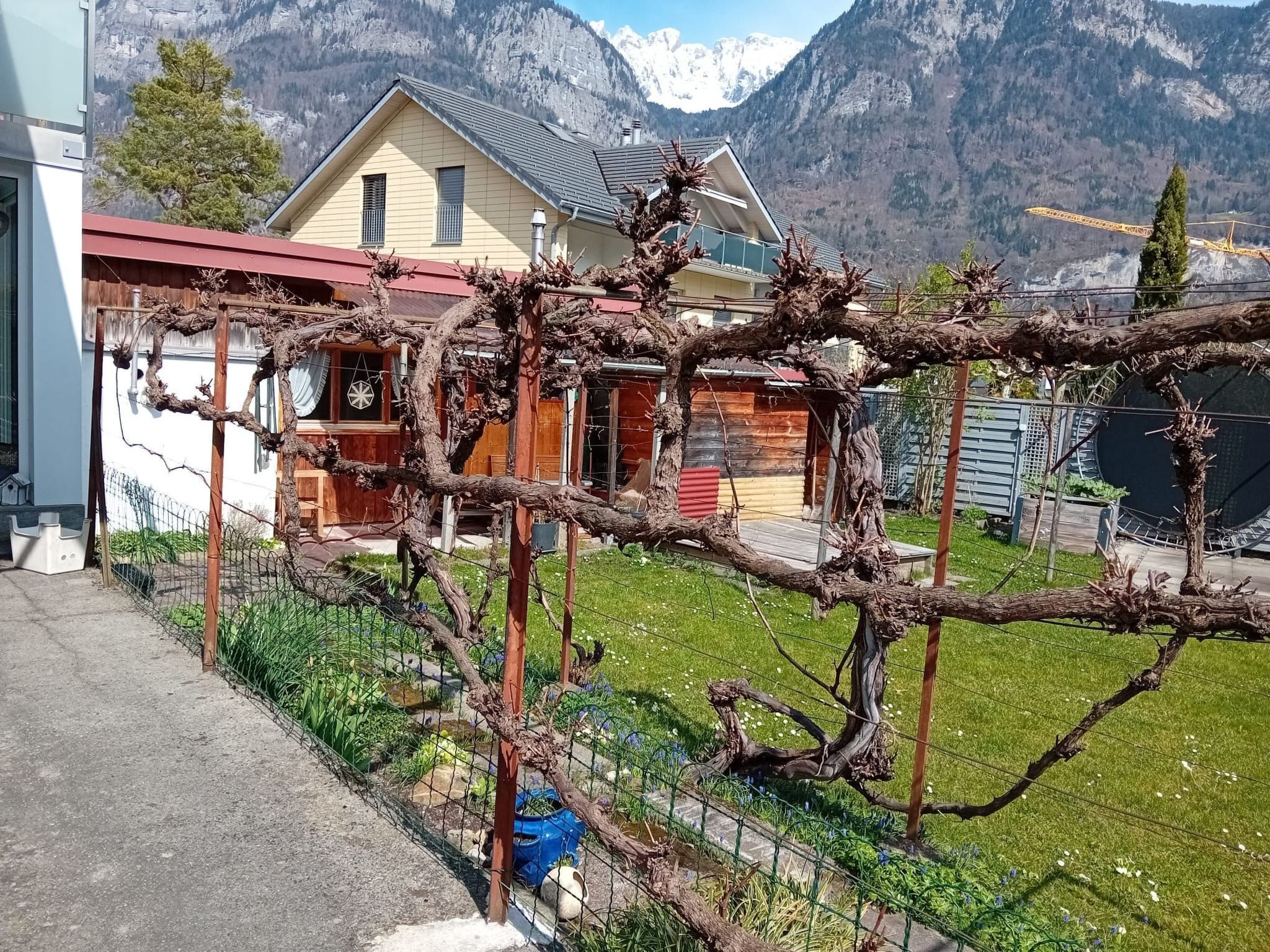 Área da propriedade