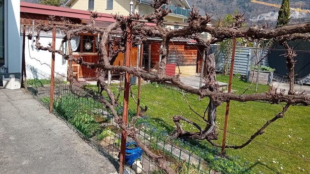 Una casa amb teulada vermella, terrassa de fusta i muntanyes al fons.