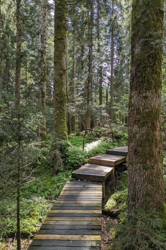 B & B auf dem Bauernhof by Interhome