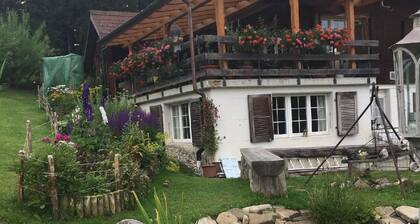 Ferienwohnung Domo by Interhome