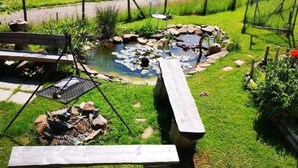 Un jardin avec un étang, des tables de pique-nique et un petit pont.