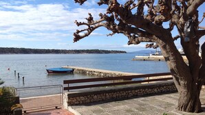 Una passeggiata lungomare con un muro in pietra, una ringhiera in metallo e un albero.