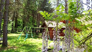 Una cabaña de madera rodeada por un bosque frondoso, un columpio y flores moradas colgantes.