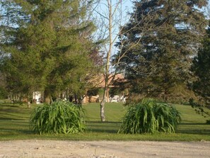 Property grounds - in Puska mit Offenem Kamin by Interhome (Puska)