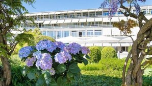 A potted hydrangea plant with a white building in the background. - Parkresidenz Meilen by Interhome (Meilen)