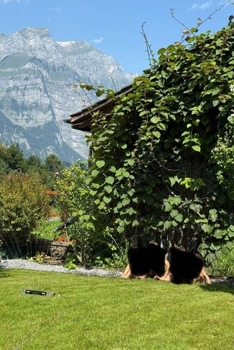 Historisches Anwesen - zeitloser Charme und moderner Luxus by Interhome