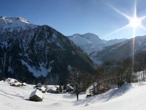 Miscellaneous - Weissenberge Gfell by Interhome (Matt)