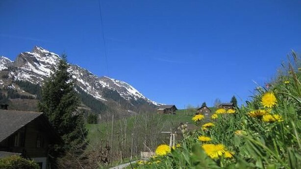 A mountain cabin with a clear view of snow-capped peaks in the background. - Weissenberge Gfell by Interhome (Matt)