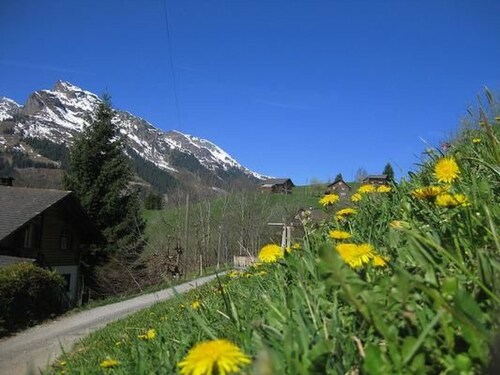 Weissenberge Gfell by Interhome