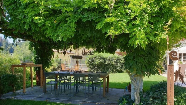 Un espacio de comedor al aire libre con una mesa y sillas de madera, rodeado de abundante vegetación y un árbol que ofrece sombra.