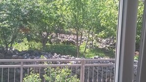 A balcony with a metal railing overlooking a rocky landscape with trees. - in der Nähe des Meeres und des Sees by Interhome (Kamenmost)