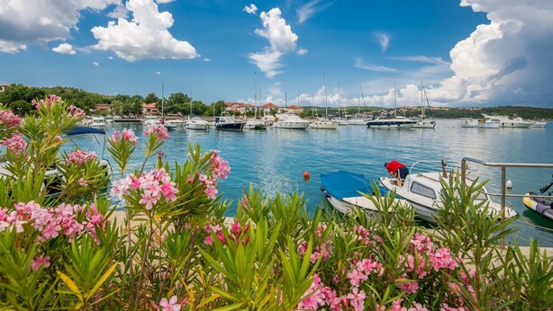 Marina com barcos atracados, rodeada por vegetação e flores.