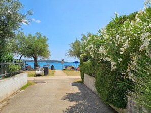 Property grounds - Wohnung "Benjamin 2" direkt am Strand by Interhome (Novigrad (Istra))