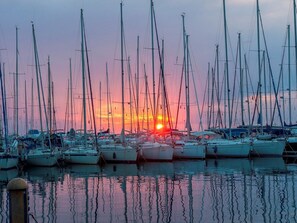 Marina - App Coki 3. by Interhome (Poreč/Funtana)
