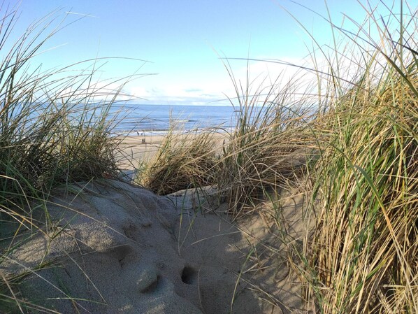 Strand