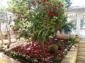 Boendeområde