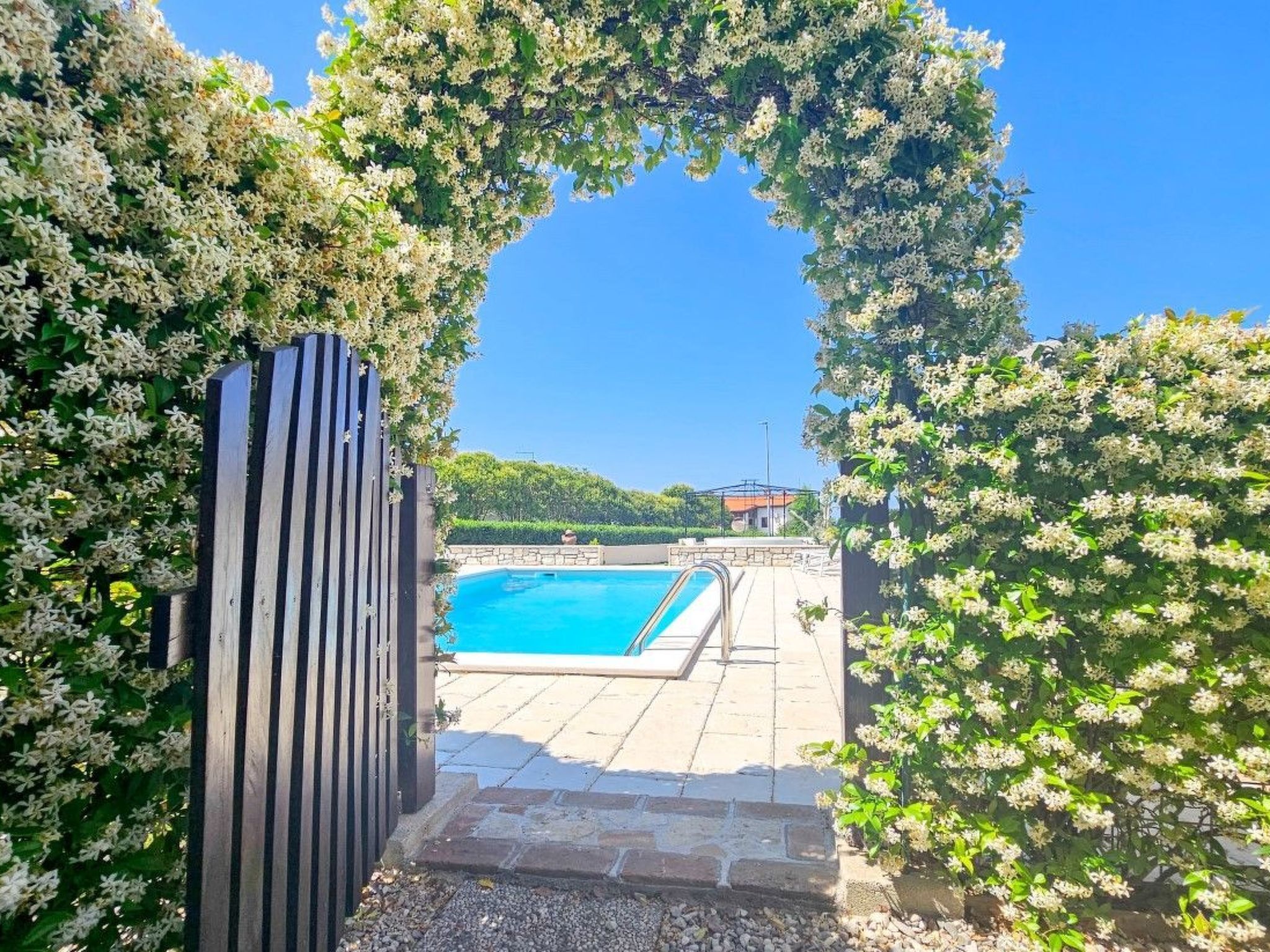 Una piscina con solárium de piedra, rodeada de exuberante vegetación y un portón de madera.