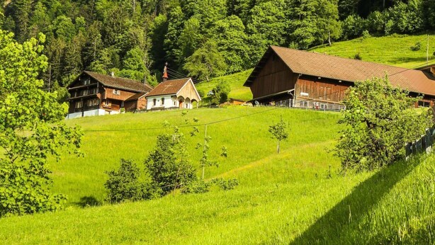 A rural landscape with a cluster of traditional wooden houses, a barn, and lush green fields.