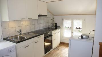 Frigorífico, microondas, horno y utensilios de cocina