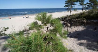 Studio-Wohnung "Apartment 16B" mit Schwimmbad by Interhome