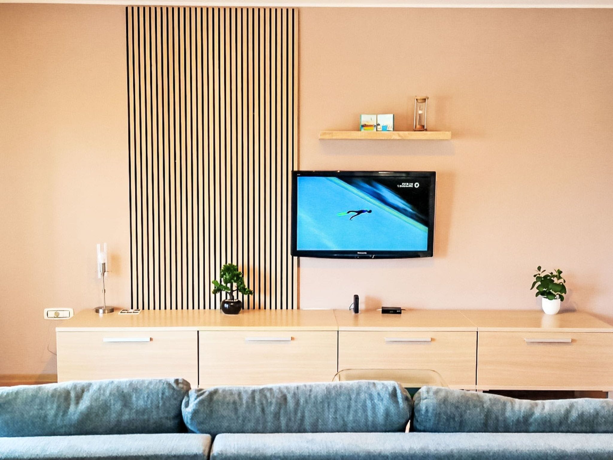 Televisor 