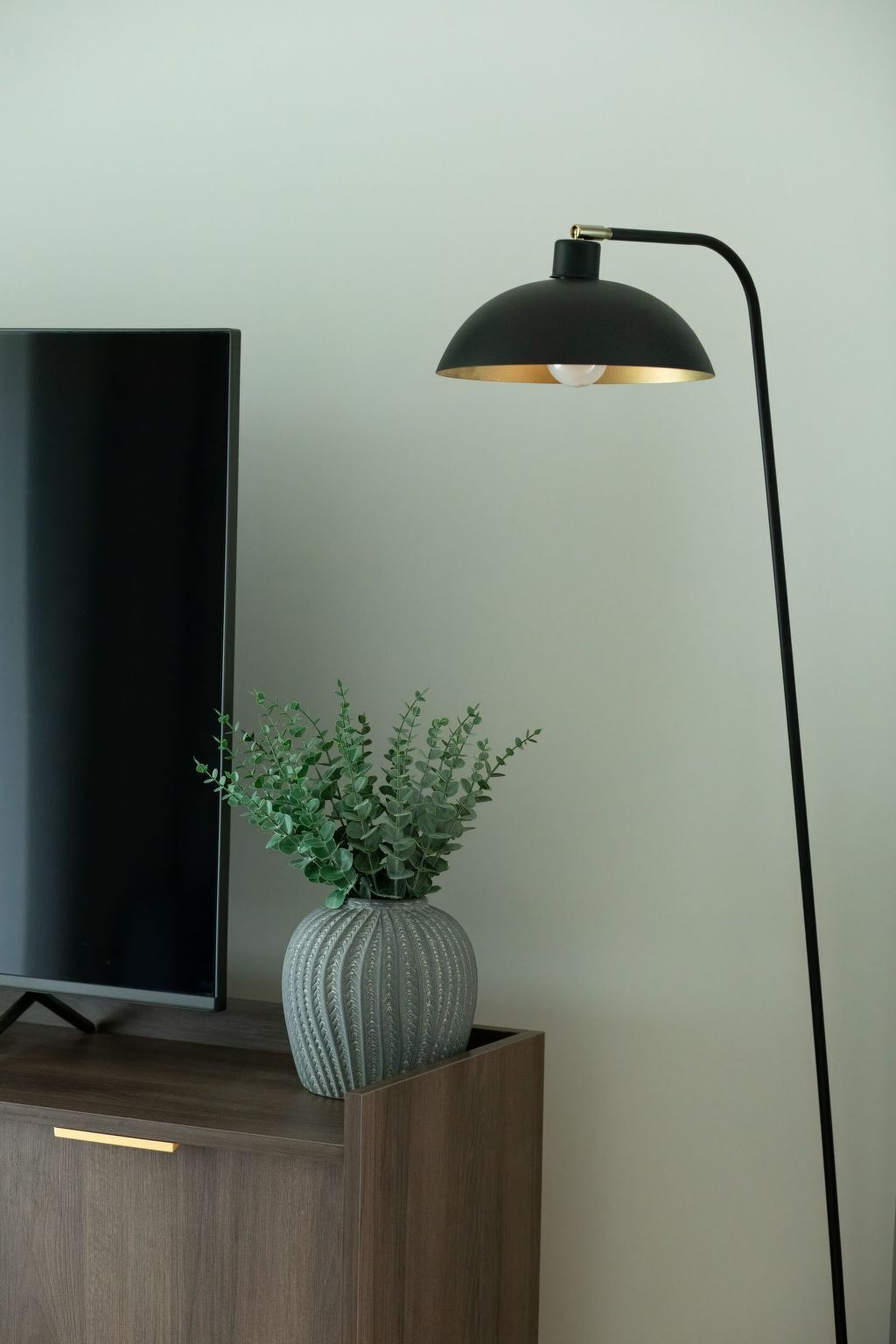 A modern room with a flat-screen TV on a wooden cabinet, a tall floor lamp, and a decorative vase with green plants.