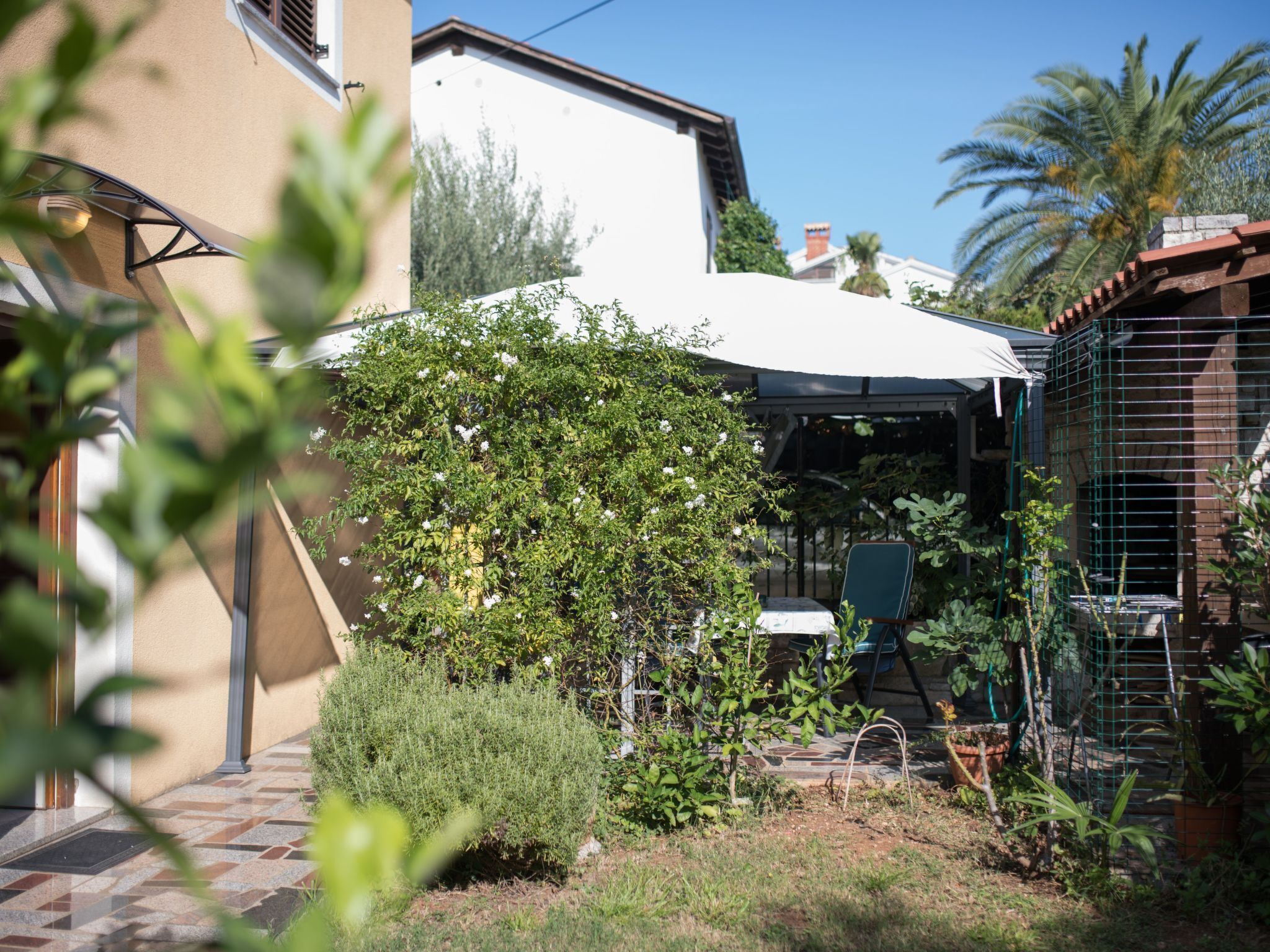A residential garden with a patio, a pergola, and a variety of plants.