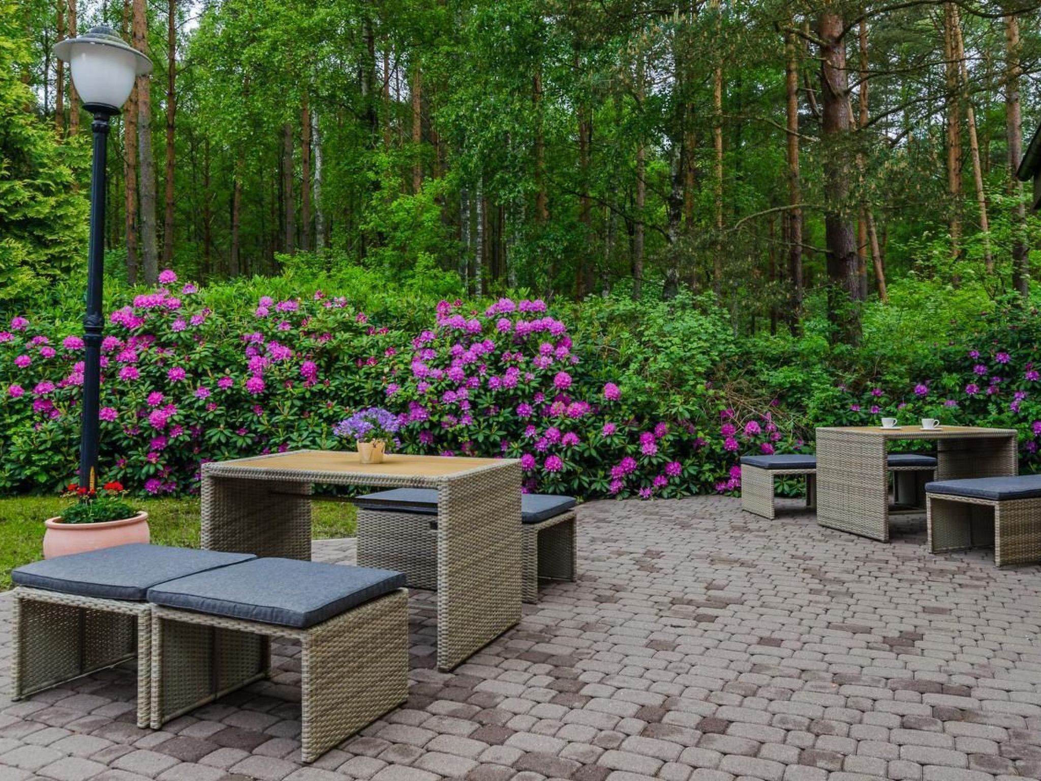 تناول الطعام بالخارج