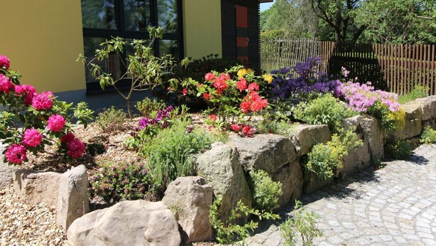 Een modern gebouw met een gele gevel en grote ramen, omringd door een verzorgde tuin met diverse kleurrijke bloemen en stenen.