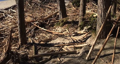 mit Schwimmbad by Interhome