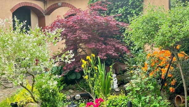A garden with various plants and flowers in front of a building with a red-tiled roof and arched windows. - an der Kaschubischen Seenplatte by Interhome (Sierakowice)