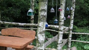 Een houten pergola met een tafel en bankjes eronder, omringd door berkenbomen en plantenbakken.