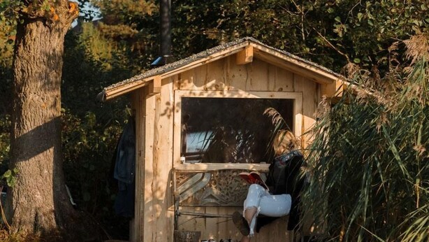 Eine Holzhütte mit Bank und Fenster, umgeben von Bäumen und Vegetation.