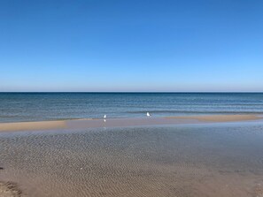A beach with clear water and two white birds on the sand. - Surfnbeach by Interhome (Dziwnówek)