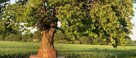 Terrein van de accommodatie