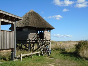 Exterior - Komfortable Ferienwohnung in Zingst by Interhome (Ostseebad Zingst)