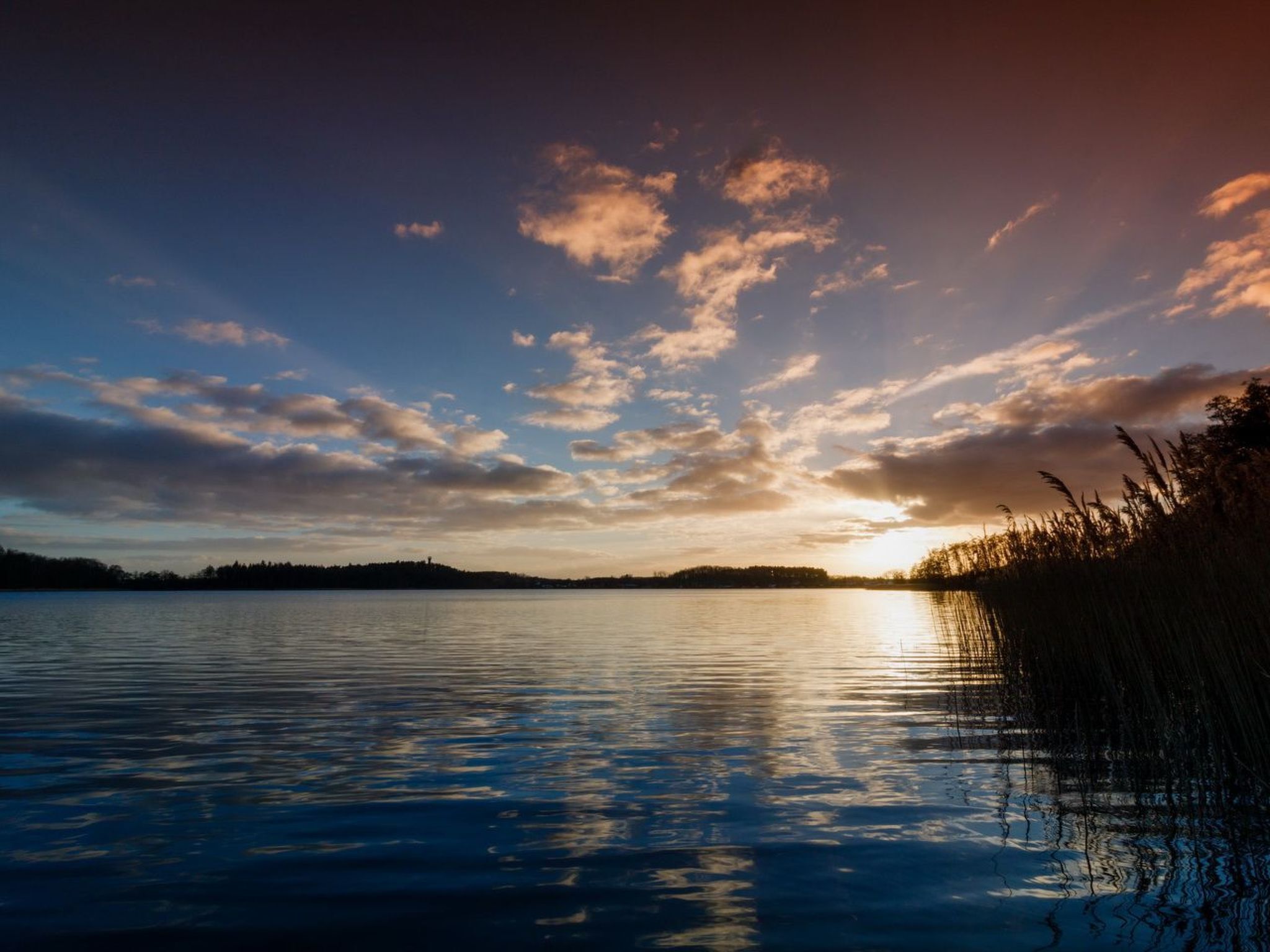 A calm lake at sunset with a clear sky and distant trees.