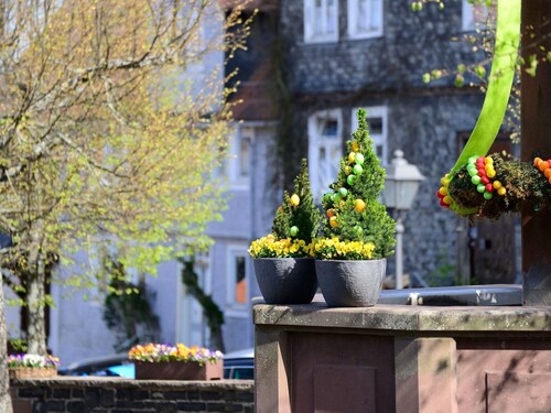 Amöneburg in Amöneburg by Interhome