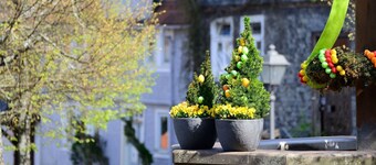 Amöneburg in Amöneburg by Interhome