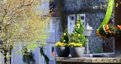 Amöneburg in Amöneburg by Interhome