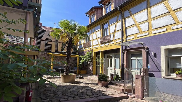 Una estrecha calle empedrada con edificios tradicionales de entramado de madera y plantas en macetas.