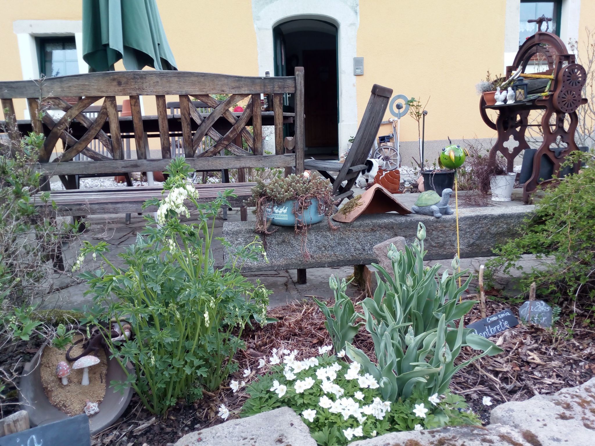 Overnattingsstedets uteområder