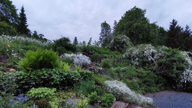 A garden with various plants and flowers, a stone pathway, and a view of trees in the background. - Wohnung in Bad Gottleuba by Interhome (Bad Gottleuba)